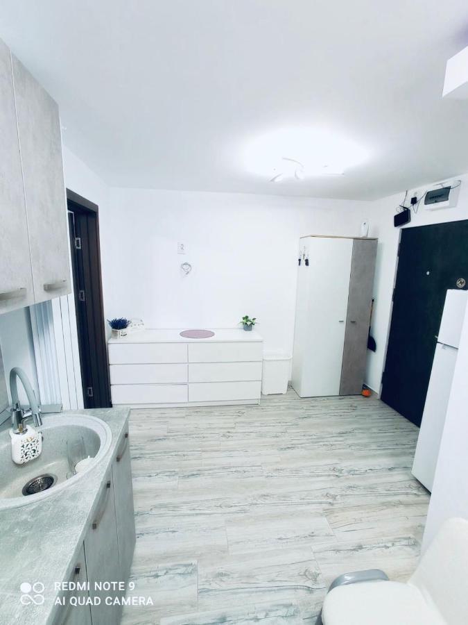 Garsoniera Daniela Lägenhet Tîrgu Ocna Exteriör bild