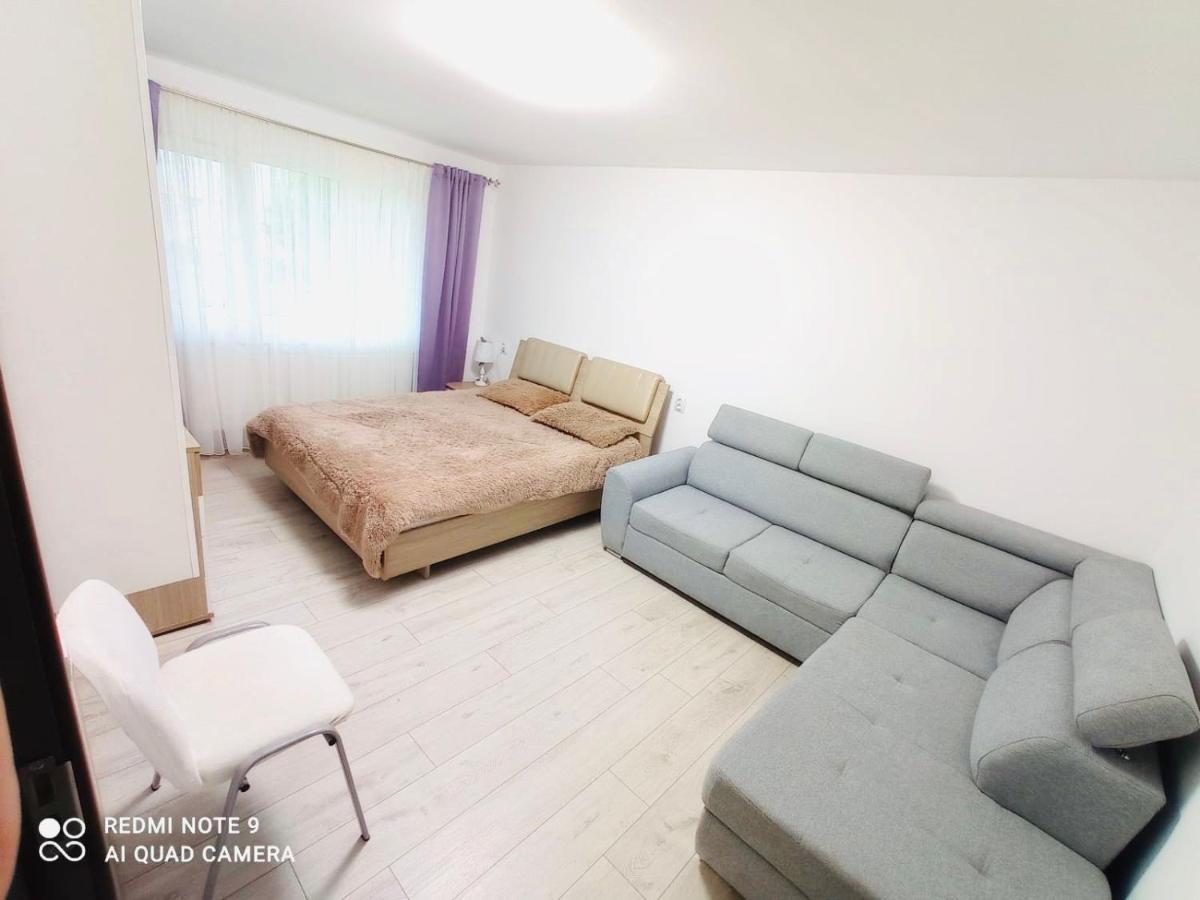Garsoniera Daniela Lägenhet Tîrgu Ocna Exteriör bild